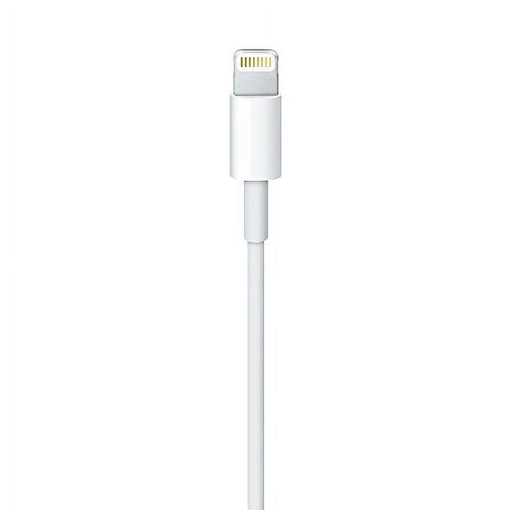 Apple MD819AM/A OEM Lightning to USB Cable (2.0 m) for iPhone