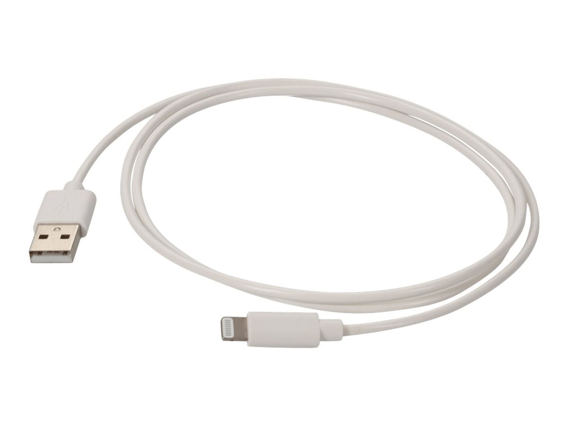 Apple 1M Lightning USB Retail