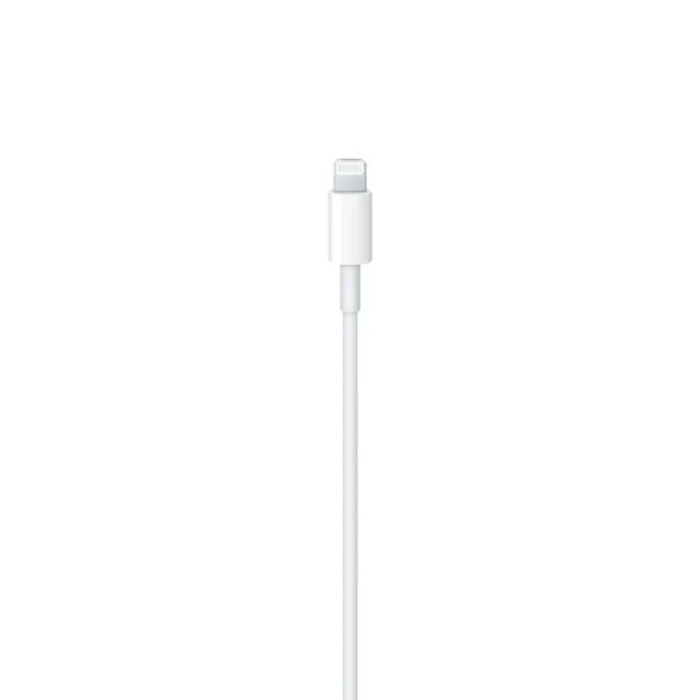 Apple 1M Type C to Lightning Cable (Master Caton)