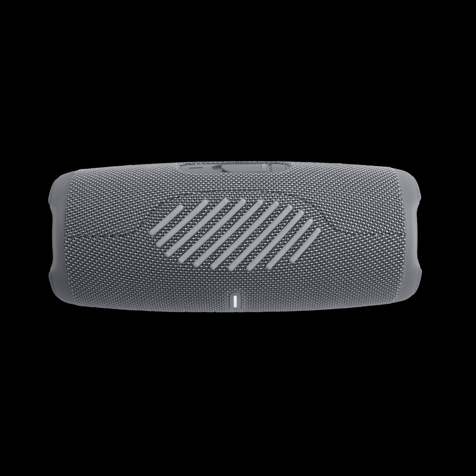 JBL Charge 5 Portable Bluetooth Speaker - Gray