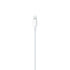 Apple 1M Type C to Lightning Cable